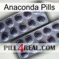 Anaconda Pills 31